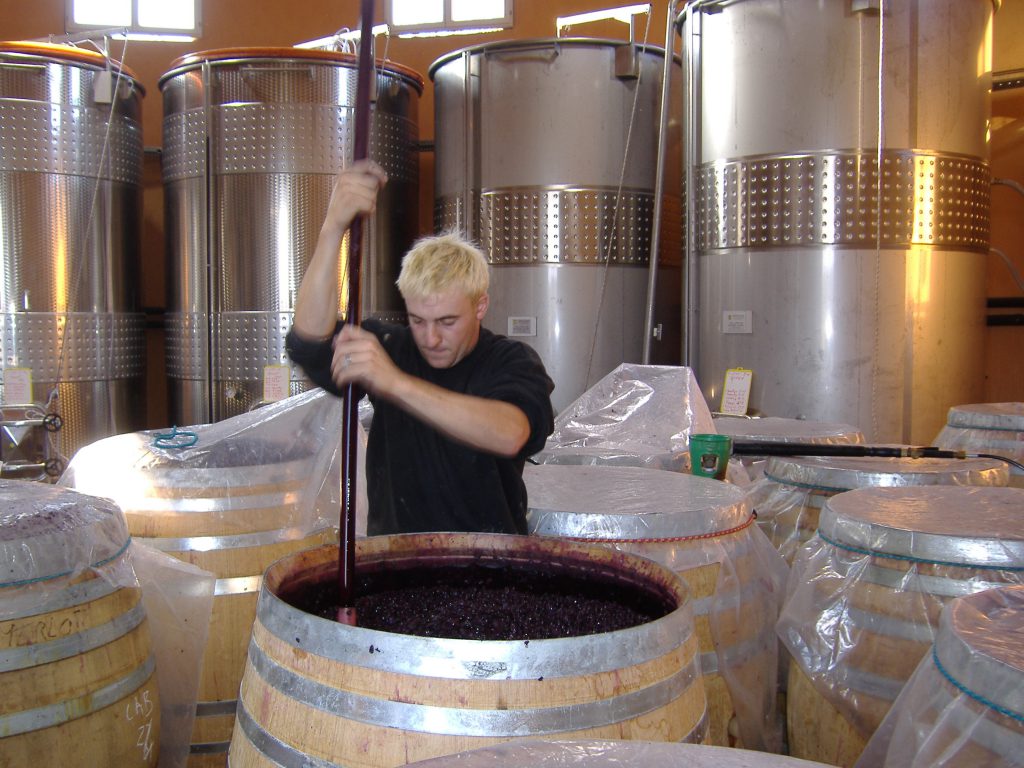 Etude de la fermentation comme moteur du développement de la vinification au XIXe siècle Etude de la fermentation comme moteur du développement de la vinification au XIXe siècle