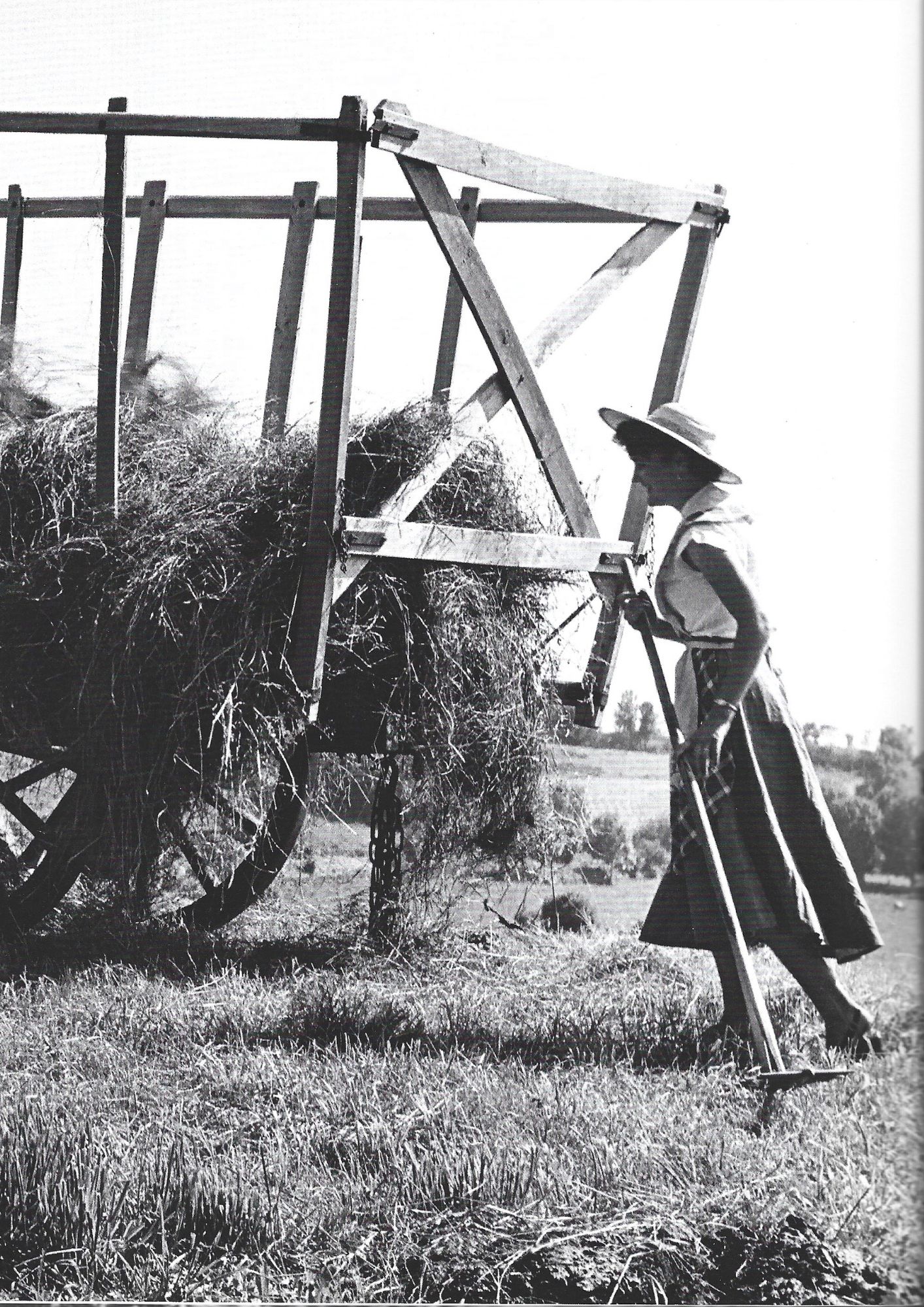 L’Agriculture en Aveyron au XXe siècle. – Valorisation du patrimoine et ...